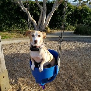 Meet your Posher, Rebecca